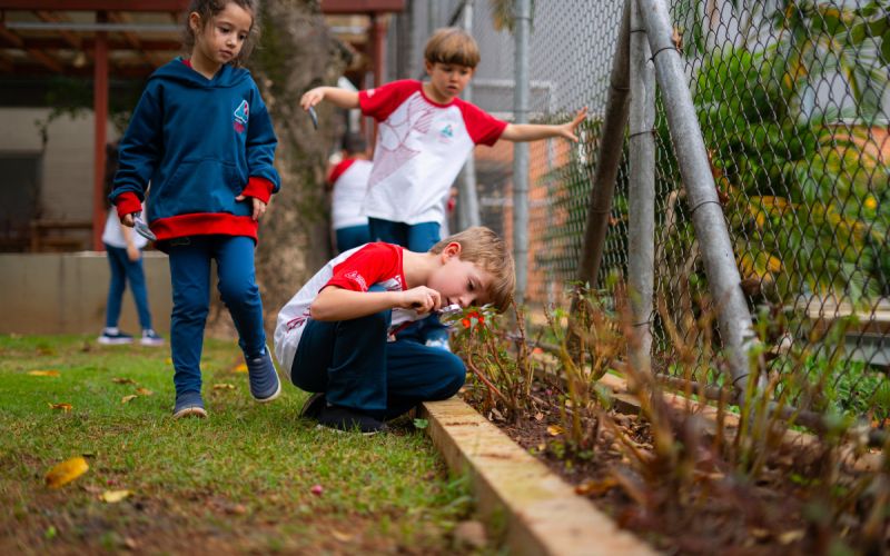 alunos vendo plantas